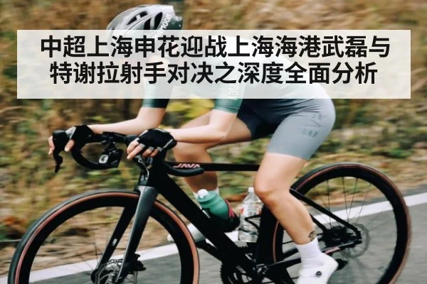 中超上海申花迎战上海海港武磊与特谢拉射手对决之深度全面分析